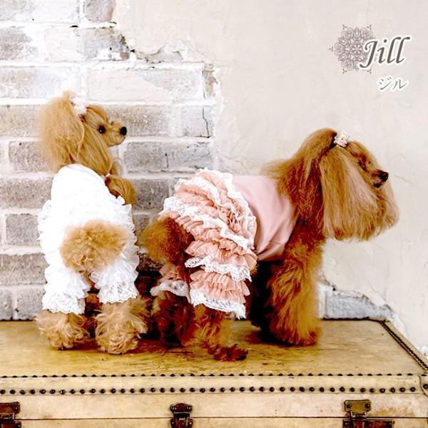 グラマーイズム Glamourism ジル Jill 小型犬 犬服 ウエア ロンパース カバーオール つなぎ パンツ セレブ 送料無料｜tiarapetsjapan｜03