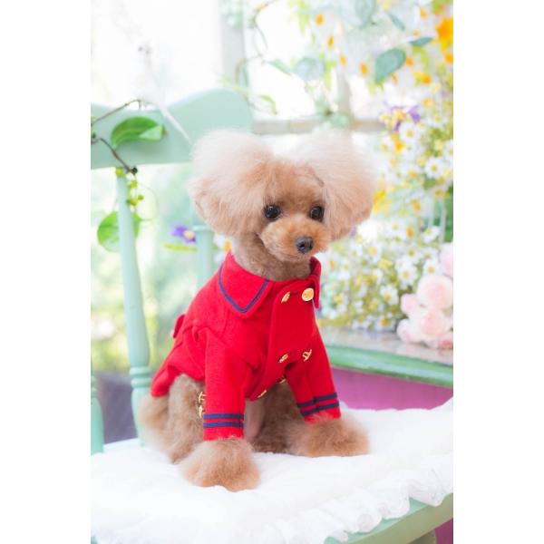 ブルブブ BUL BU-BU ピーコート XXS/XS 犬服 小型犬 ウエア セレブ アウター 上着 ジャケット コート 送料無料の画像