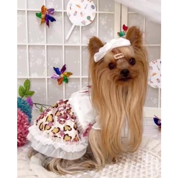 アキュミリア accu milia ボレロ風バフスリーブグローラメワンピ XS/SS  小型犬 犬服 ウエア ワンピース ドレス セレブ 送料無料の画像