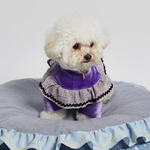 louisdog ルイスドッグ セレブ Walking アウター ジャケット Purple