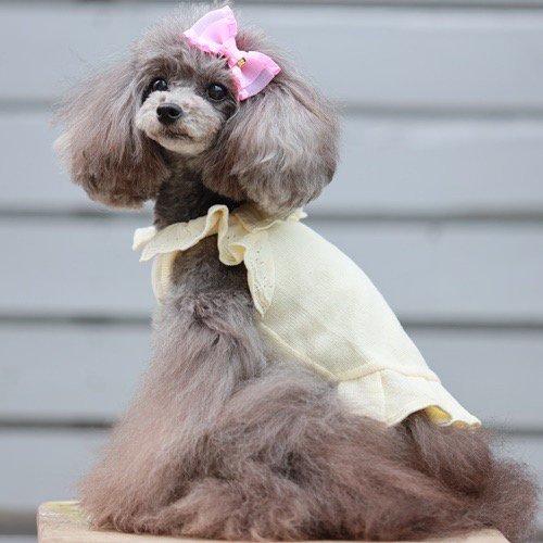 ゴッドピヴァ GODPIVA organic cottonスカラップワンピース 小型犬 犬服 ウエア ワンピース ニット セーター セレブ 送料無料の画像