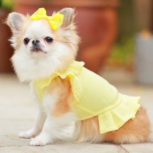 ゴッドピヴァ GODPIVA organic cottonスカラップワンピース 小型犬 犬服 ウエア ワンピース ニット セーター セレブ 送料無料の画像
