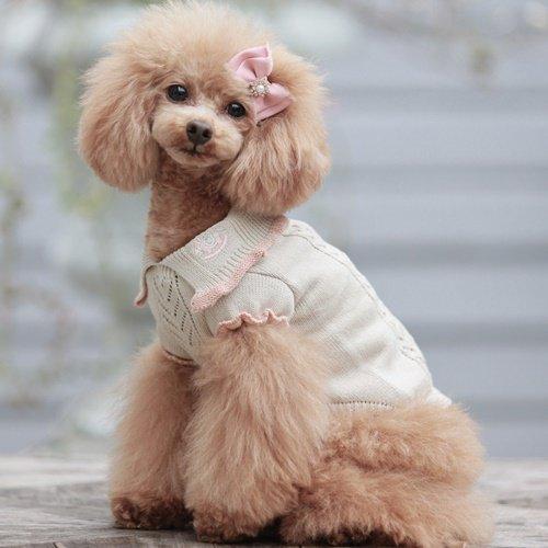 ゴッドピヴァ GODPIVA organic cottonハートニット 小型犬 犬服 ウエア トップス ニット セーター セレブ 送料無料の画像