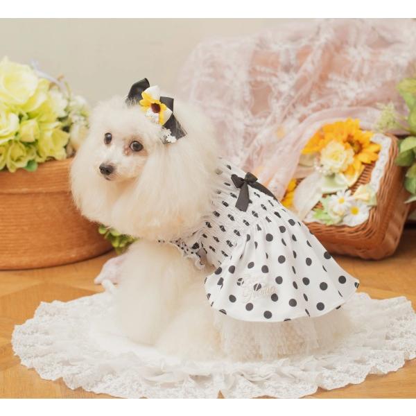 きゃんナナ CanNana COOLドット柄シャーリングワンピース 1112