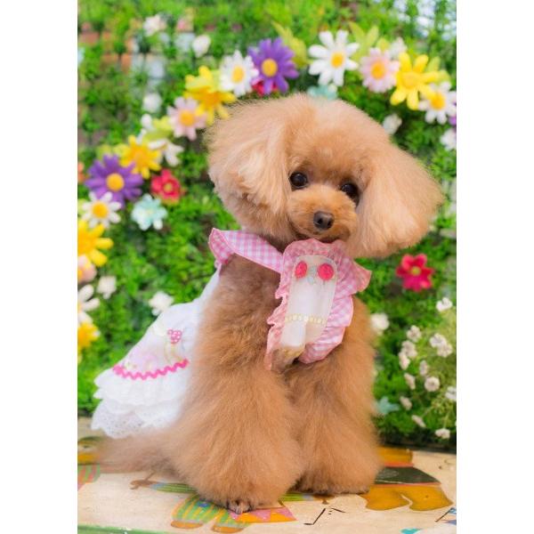 ブルブブ BUL BU-BU くまうさワンピース XXS/XS 小型犬 犬服 ウエア