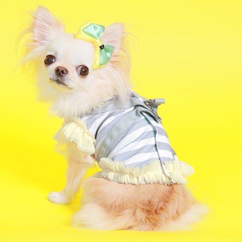 ゴッドピヴァ GODPIVA COOLボーダーチュールハーネス 小型犬 犬用