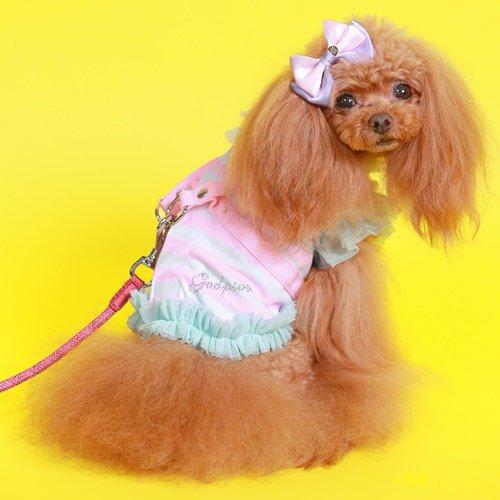 ゴッドピヴァ GODPIVA COOLボーダーチュールハーネス 小型犬 犬用
