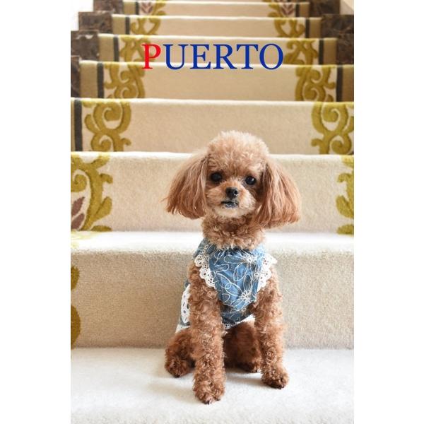 プエルト PUERTO エンブロイダリーガーデンエプロン SB水色  3h/4  小型犬 犬服 ウエア ワンピース ドレス セレブ 送料無料の画像