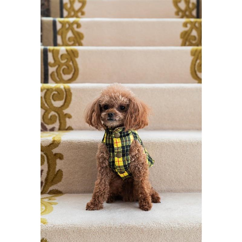 打田幸生 犬 丑 酉