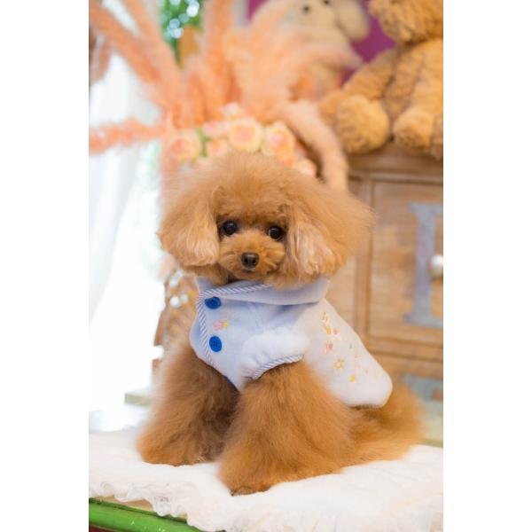 Bulbubuワンダーランドパーカー ブルー SSS Bulbubuワンダーランドパーカー ブルー SSS ブルブブ BUL BU-BU