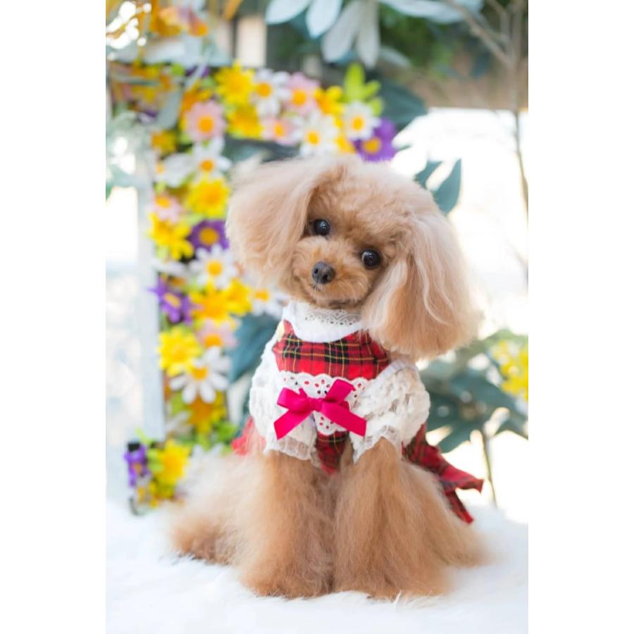 ブルブブ BUL BU-BU CHECKジャンパーS/K SSS/SS/SSL/S 小型犬 犬服 ウエア スカート ジャンパースカート セレブ 送料無料の画像