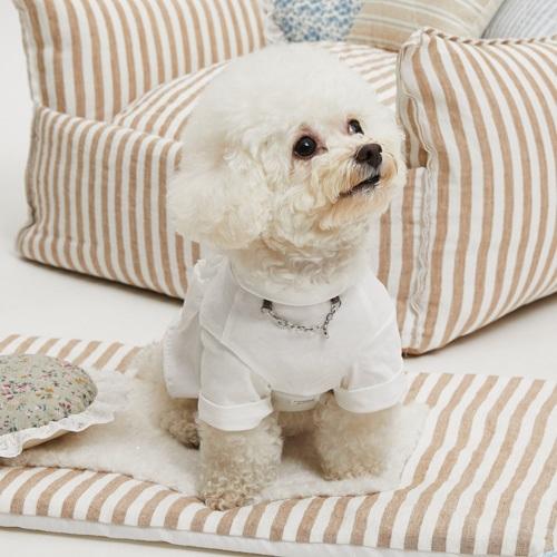 ルイスドッグ louisdog White Organic Roll Up 小型犬 犬服 トップス 半袖 シャツ セレブの画像