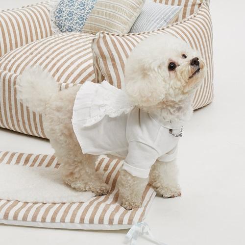 ルイスドッグ louisdog White Organic Roll Up 小型犬 犬服 トップス 半袖 シャツ セレブの画像