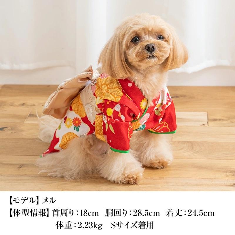 クレイジーブー CRAZYBOO 菊柄着物 XL/XXL 犬服 小型犬 ウエア