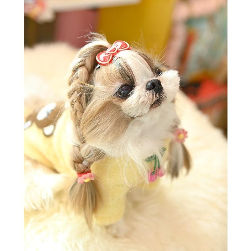 J&K animals (3Sサイズ)　ニットワンピース　犬服 J&K animals (3Sサイズ) ニットワンピース 犬服 J&K animals