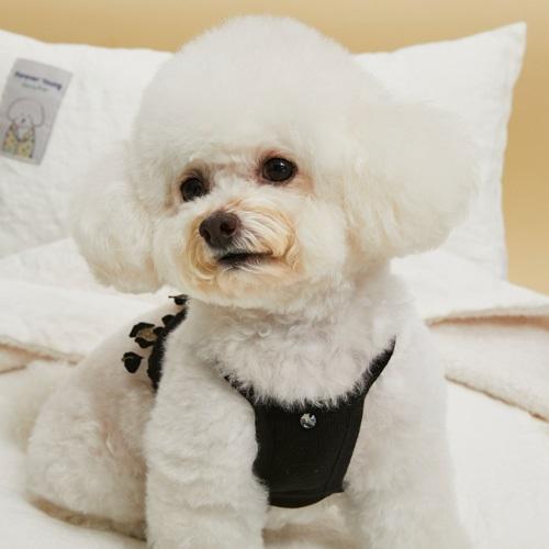 犬用品 louisdog ワンピース SMサイズ