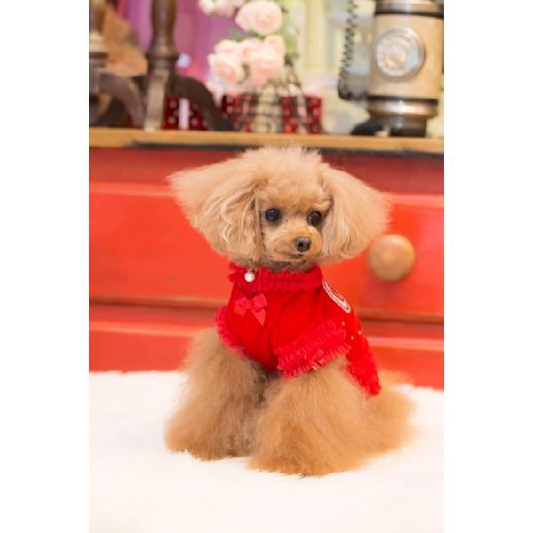 Charlotte's Dress 赤いクマデザイン犬服 Charlotte's Dress 赤いクマデザイン犬服