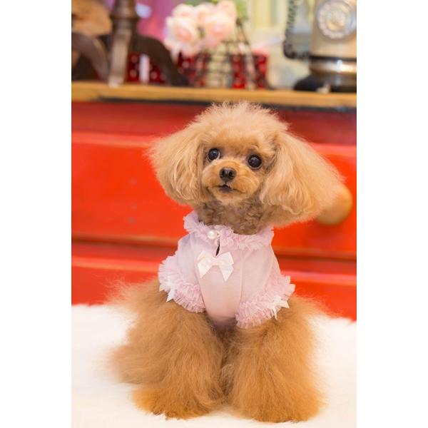 ブルブブ BUL BU-BU スパンコールリボンキャミ SSS/SS/SSL/S 小型犬 犬服 トップス キャミソール セレブの画像