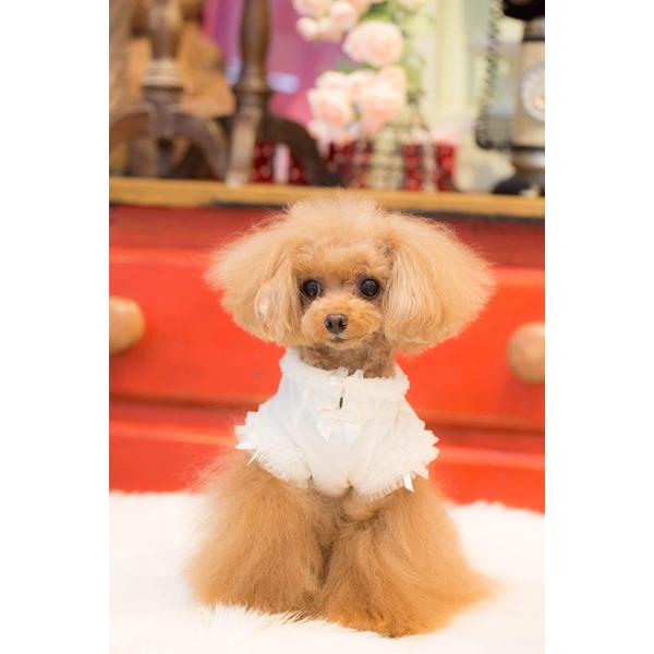 ブルブブ BUL BU-BU スパンコールリボンキャミ SSS/SS/SSL/S 小型犬 犬服 トップス キャミソール セレブの画像