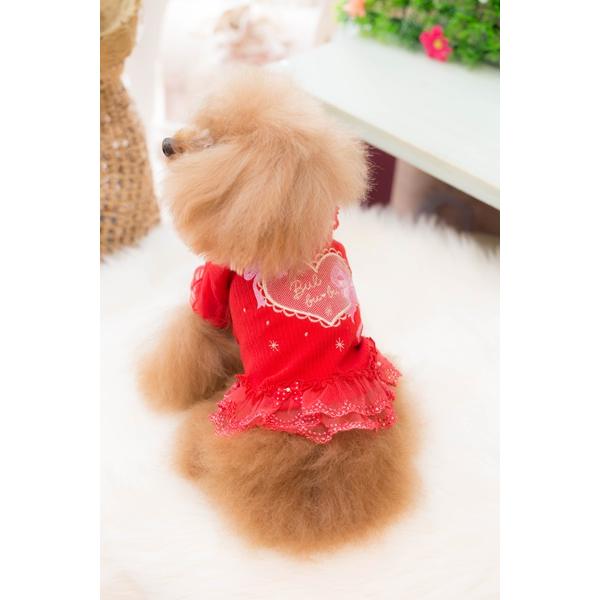 ブルブブ BUL BU-BU ハートリボンフリルハイネックTee SSS・SS・SSL・S 小型犬 犬服 トップス Tシャツ ハイネック セレブの画像