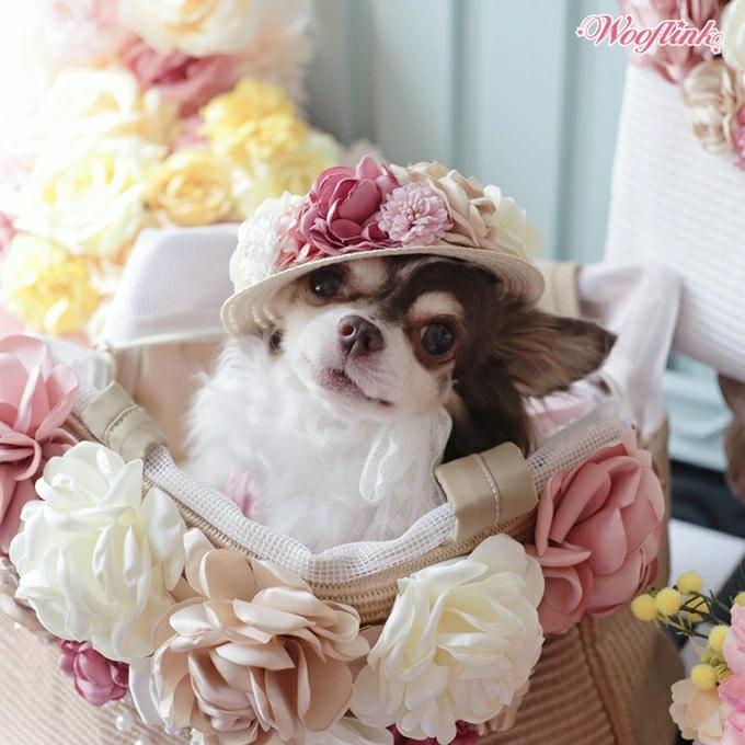 ウーフリンク WOOFLINK VACATION DREAM BAG【小型犬 犬用 キャリー