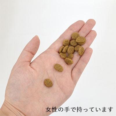 ギャザー GATHER フリーエーカー 7.25kg 犬用 ドッグ ドライフード 全年齢対応 送料無料 