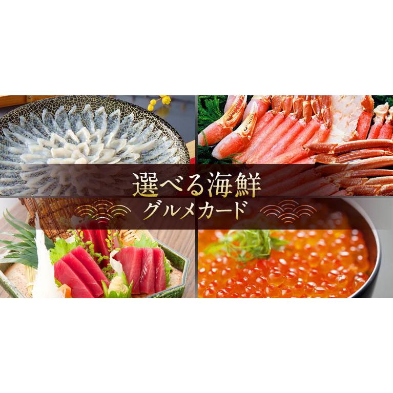 05-0056 選べる海鮮グルメ 5,000 カード/デジタル（カタログギフト