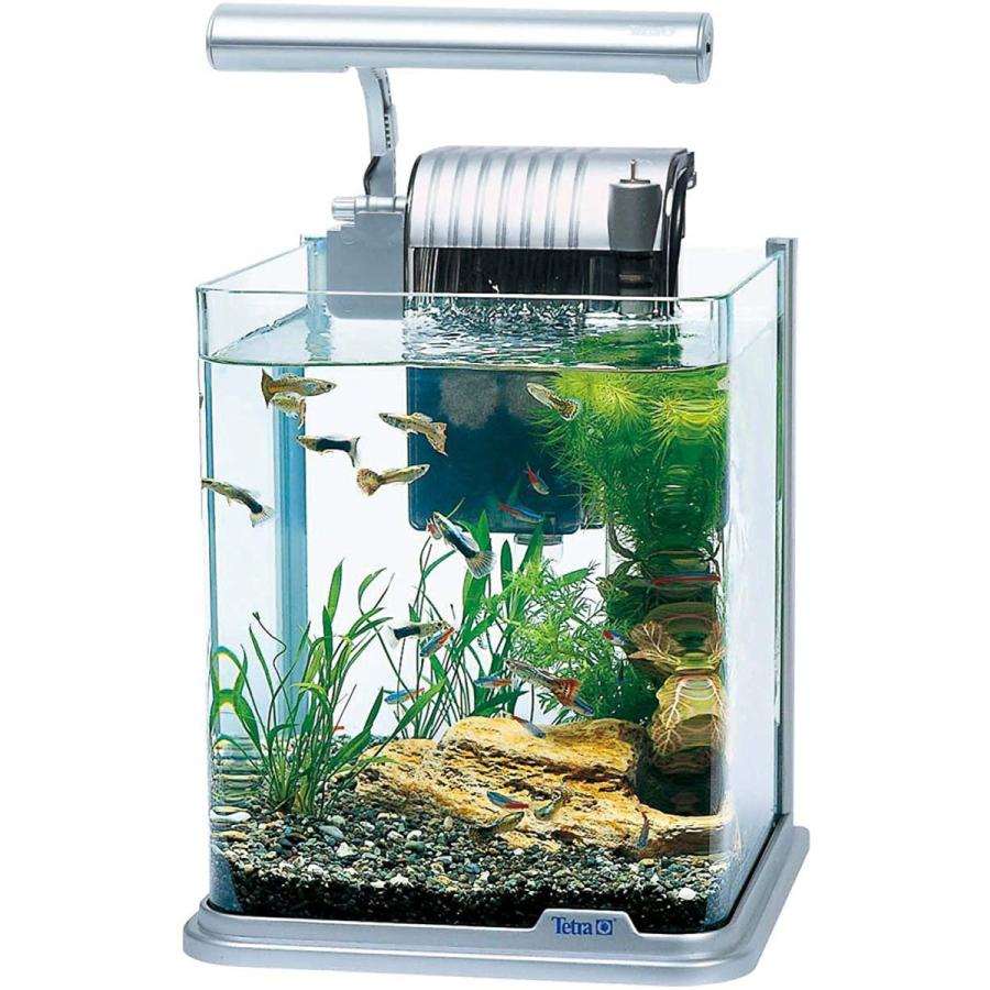 独創的 テトラ Tetra Ledライト付 観賞魚飼育水槽セット Rg le メーカー包装済 Zoetalentsolutions Com