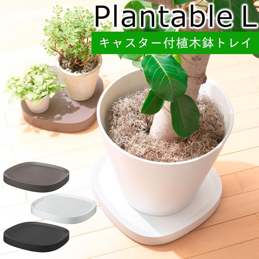 大型テラコッタ製円筒形植木鉢＋キャスター付きトレイ2点セット 楽天市場】【クーポン配布中】4個セット キャスター付き植木鉢