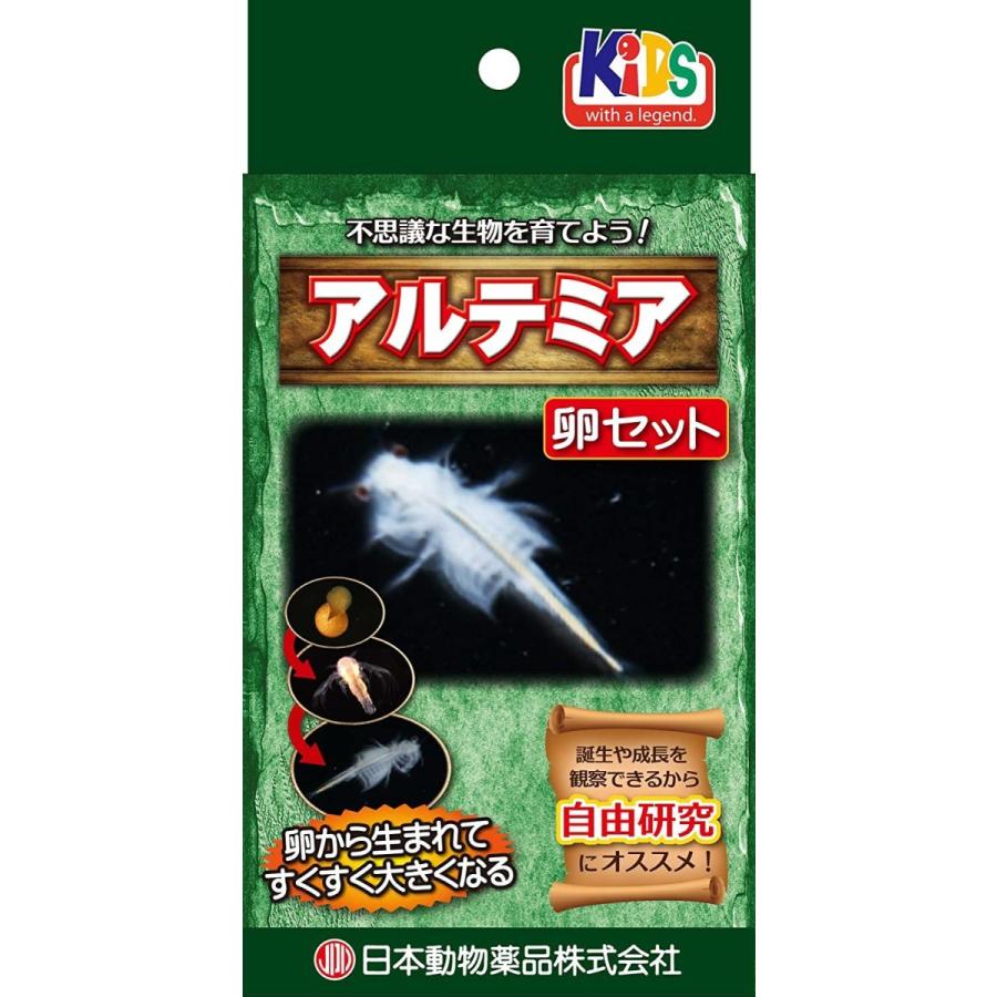 アルテミアの卵セット ティーアwebshop 通販 Yahoo ショッピング