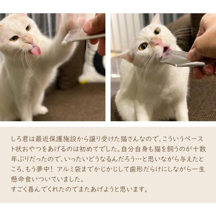 (保護ねこ支援) 犬猫用ペーストおやつ にゃめろう ささみ味 (10g×10本)（6袋までネコポス配送）｜tierheim-ps｜09