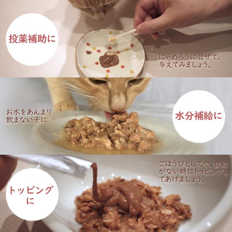 保護ねこ支援) 犬猫用ペーストおやつ にゃめろう 4袋セット(10g×10本