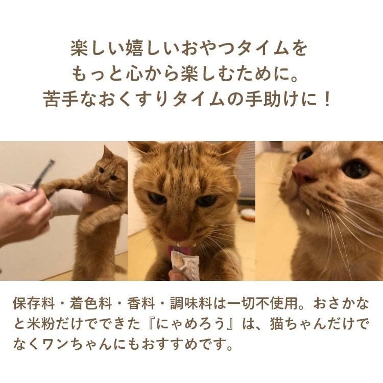 保護ねこ支援) 犬猫用ペーストおやつ にゃめろう 4袋セット(10g×10本