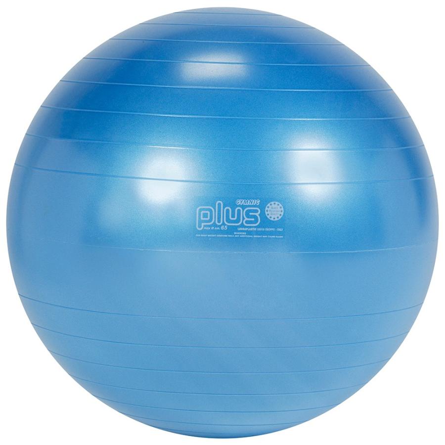 メーカーお取寄せ商品 ギムニクplus65 青 Lp9529 ギムニク バランスボール Y18lp9529 タイガーコーポレーション 通販 Yahoo ショッピング