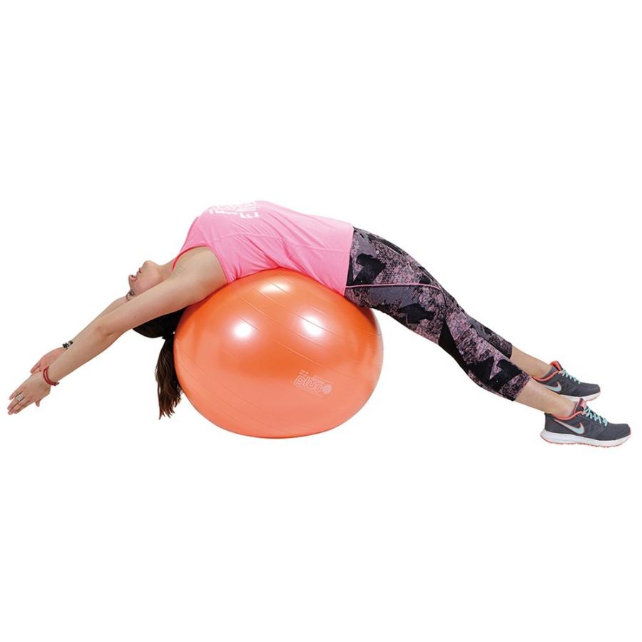 メーカーお取寄せ商品 ギムニクplus65 オレンジ Lp9529 ギムニク バランスボール Ylp9525 タイガーコーポレーション 通販 Yahoo ショッピング