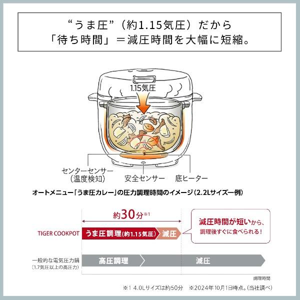 タイガー魔法瓶 限定商品 電気圧力鍋 4l タイガー 自動調理器 圧力鍋