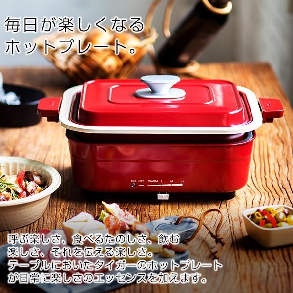 タイガー（TIGER） プレート2枚セット パーティープレート コンパクト