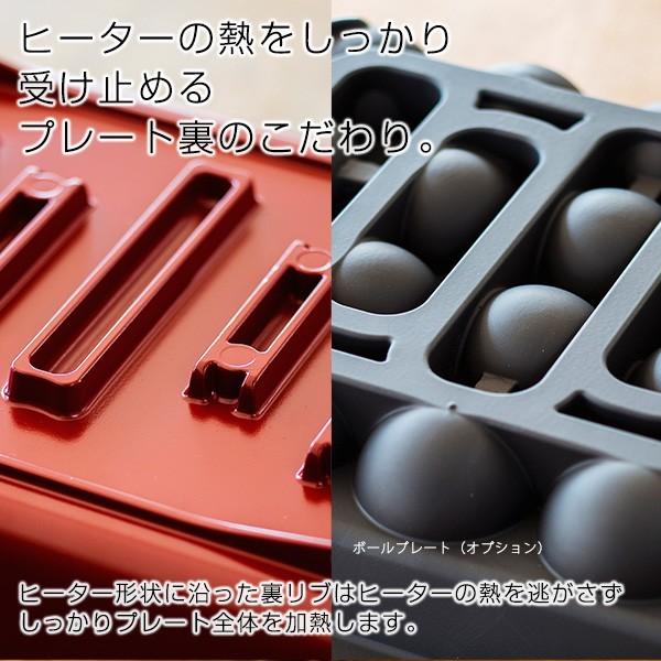 タイガー（TIGER） プレート2枚セット パーティープレート コンパクト