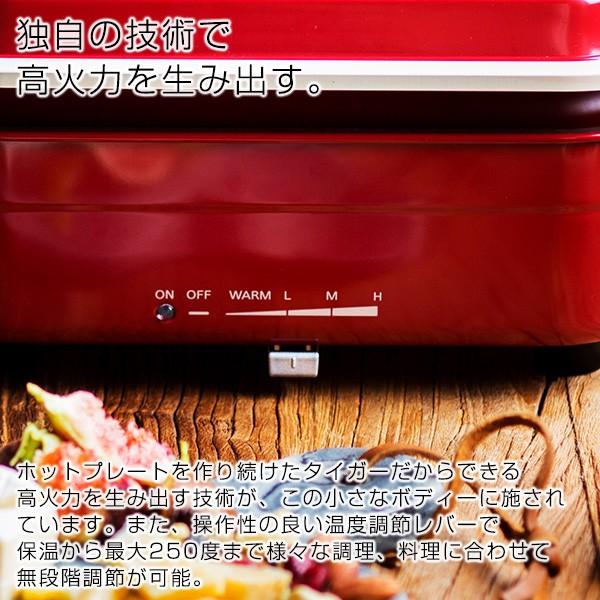 タイガー プレート3枚セット パーティープレート コンパクト