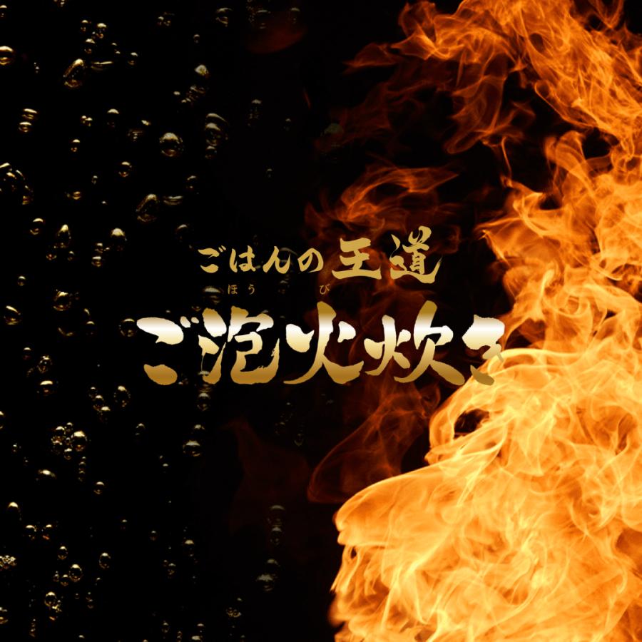 炊きたて 限定モデル 炊飯器 5合炊き 圧力IH炊飯器 タイガー 炊きたて 限定モデル 炊飯器 5合炊き 圧力IH炊飯器 タイガー