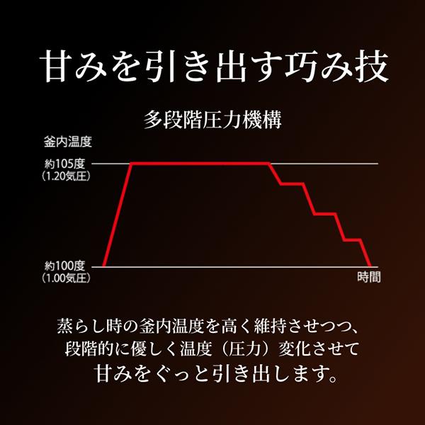 公式ストア限定モデル 炊飯器 5合炊き 圧力IH炊飯器 タイガー 土鍋 ご泡火炊き ごほうびだき 日本製 JPL-H10N｜tiger-online｜06