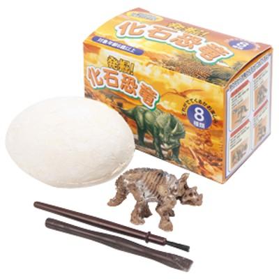 発掘化石恐竜【不良対応不可】 : こどもモールタイガーキャット - 通販