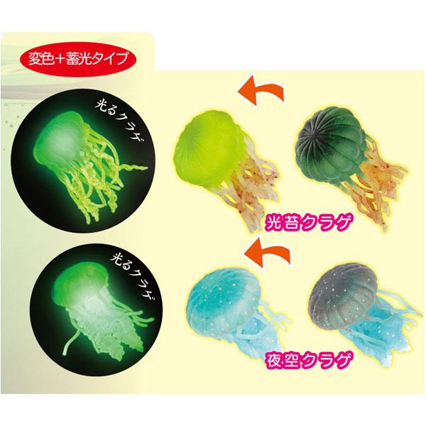 カラーチェンジクラゲ【不良対応不可】 : こどもモールタイガー