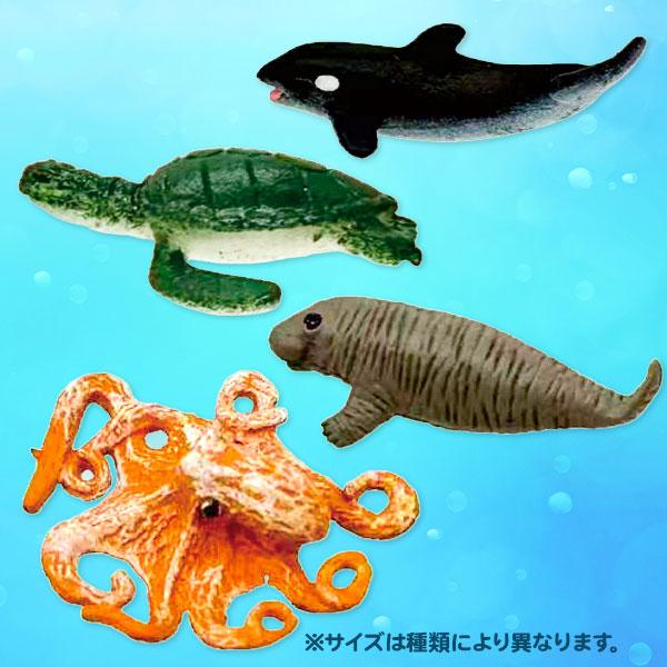 カプセルトイ 海の生物【不良対応不可】 : こどもモールタイガー