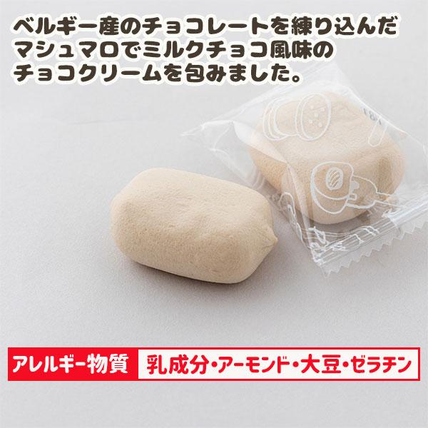 チョコ＆チョコマシュマロ【不良対応不可】 : こどもモールタイガー