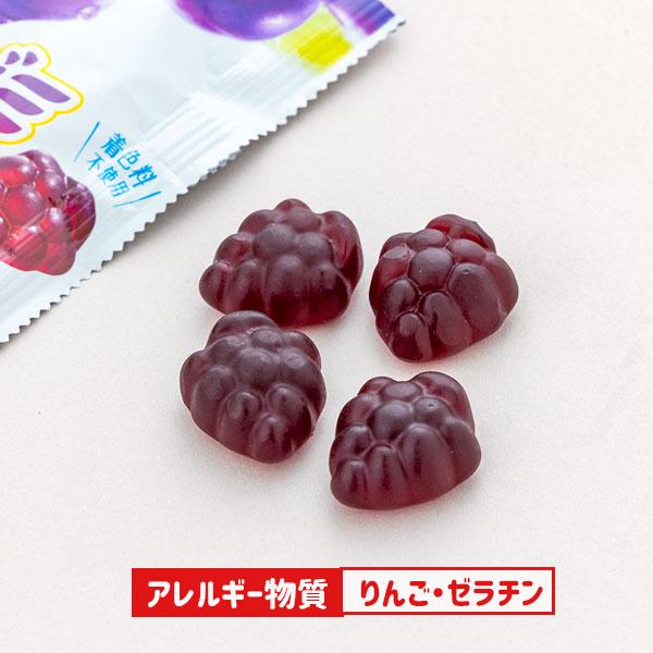 果汁グミスマートパック ぶどう【不良対応不可】 : こどもモール