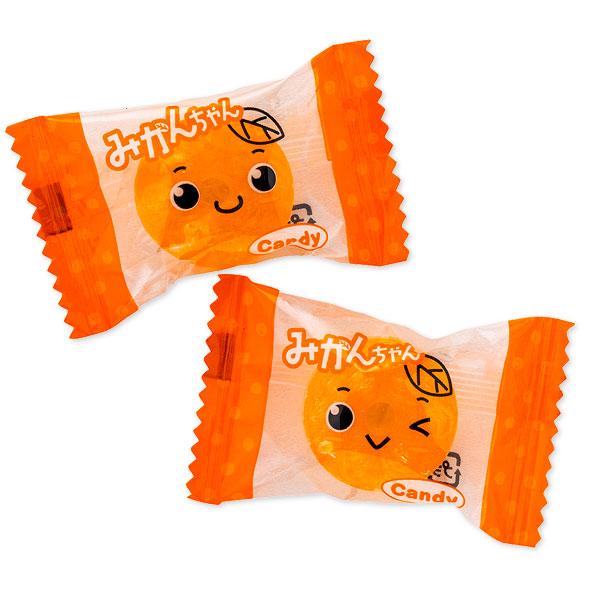 みかんちゃん【不良対応不可】 : こどもモールタイガーキャット - 通販