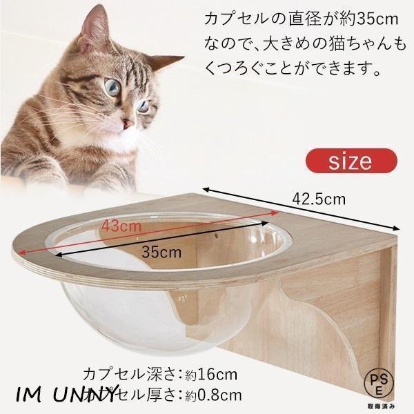 キャットウォーク キャットステップ 壁付け 猫用 透明カプセル型 幅35cm 大 キャットウォーク キャットステップ 壁付け キャットカプセル 猫用