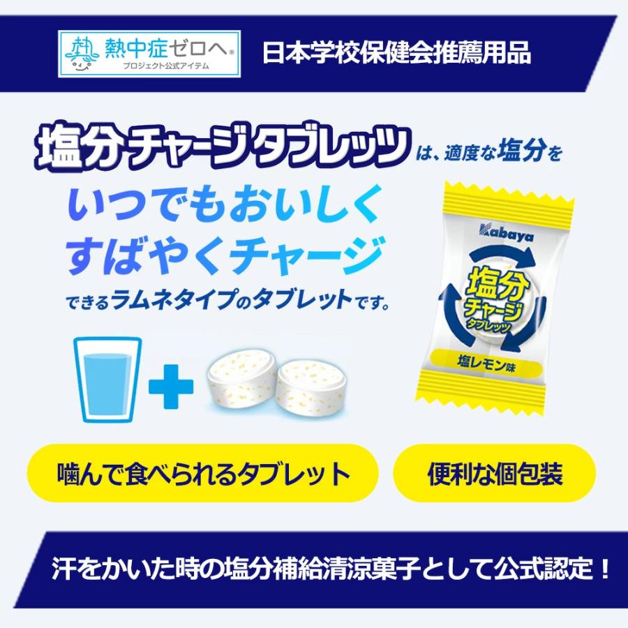 Kabaya カバヤ 塩分チャージ タブレッツ 塩レモン 大容量 960g