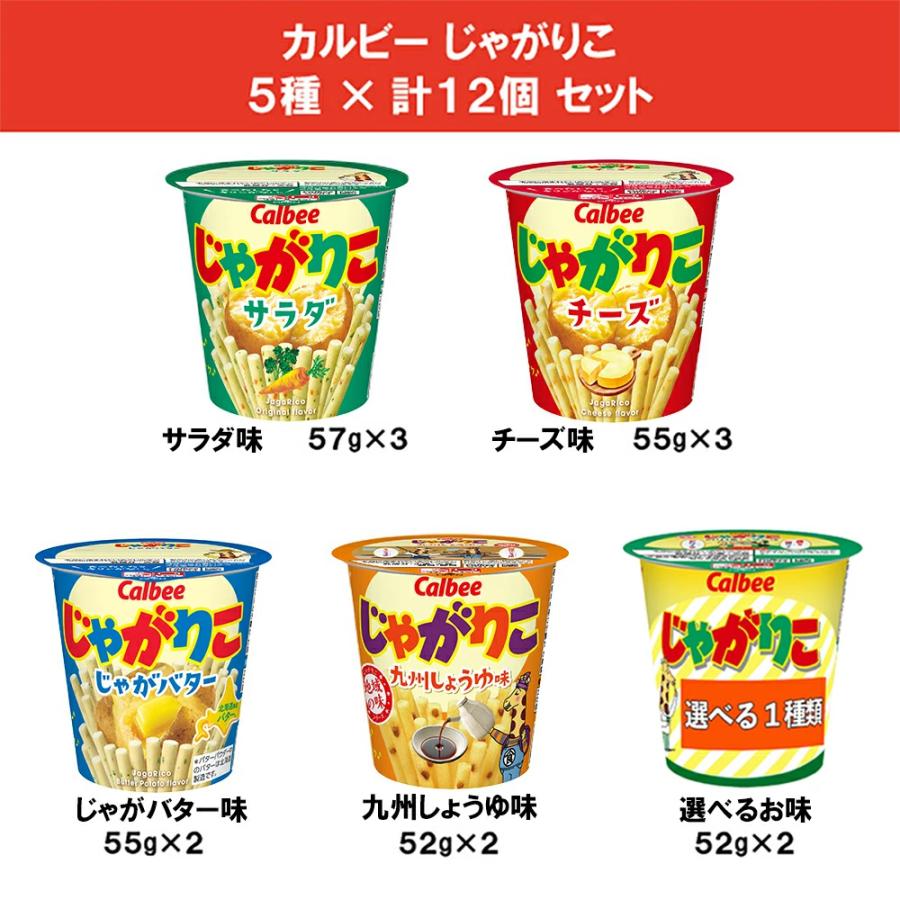 カルビー（Calbee） じゃがりこ 5種 食べ比べ 計12個 詰め合わせ